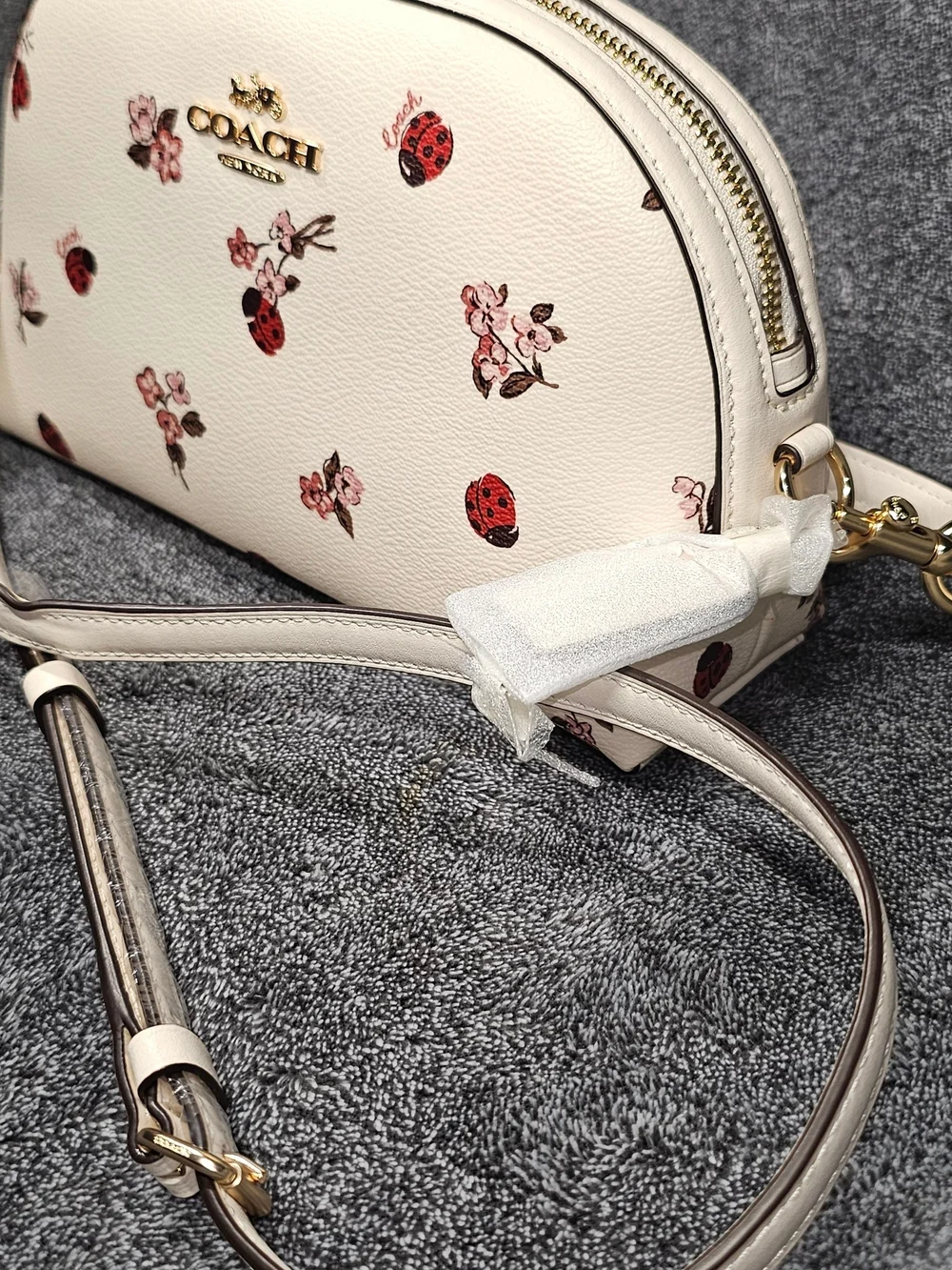 Coach White Floral & Ladybug Crossbody Bag